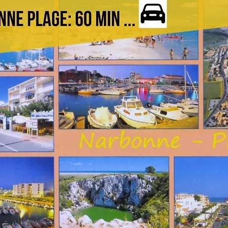 Le Végétal Carcassonne